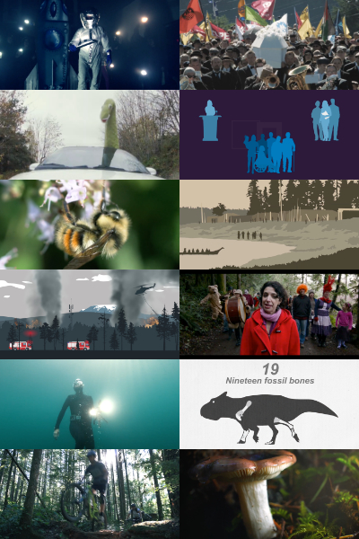 A collage of video thumnails.